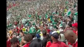 لحظة حاسمة.. جماهير بالميراس تحتفل بهدف التقدم على الأهلي